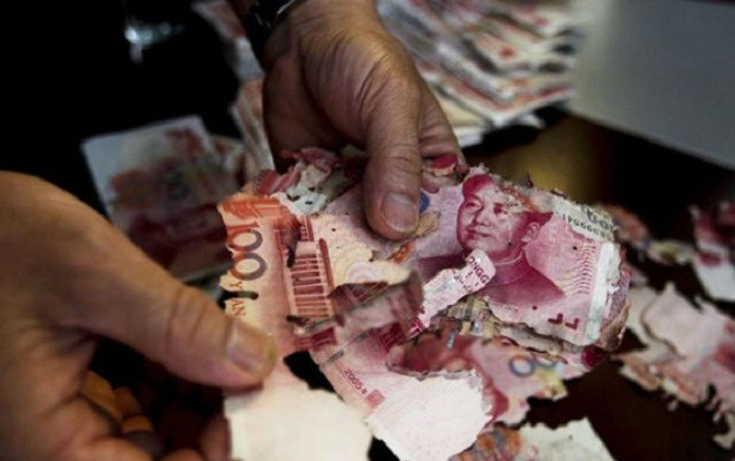 Cất 33 triệu trong tủ hơn một năm, cụ bà 'tan nát cõi lòng' khi tiền bị mối ăn nát Ảnh 2