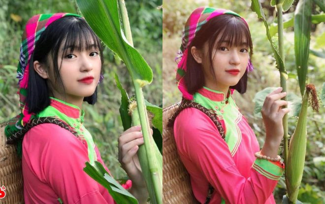 'Lịm tim' trước loạt ảnh ngọt ngào bên ruộng ngô của nữ sinh xinh xắn dân tộc Giáy Ảnh 2