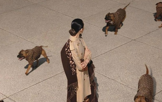 Burberry chơi sang với thiết kế áo đặc biệt dành cho cún quý tộc Ảnh 2