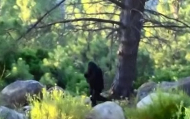 Những lần quái vật chân to Bigfoot xuất hiện gây xôn xao Ảnh 2