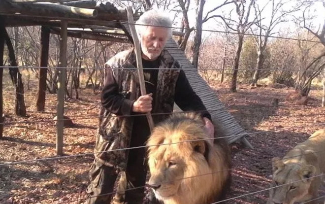 Một con sư tử vồ chết người chăm sóc, cả đàn bị bắn chết Ảnh 2
