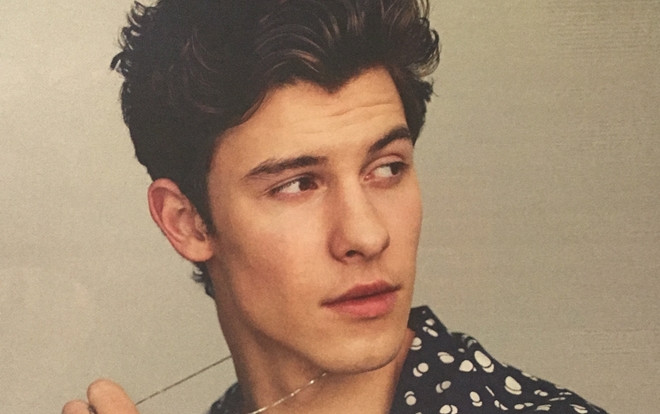 Shawn Mendes bất ngờ bị cộng đồng mạng ném đá vì có hành động kì thị LGBT Ảnh 2