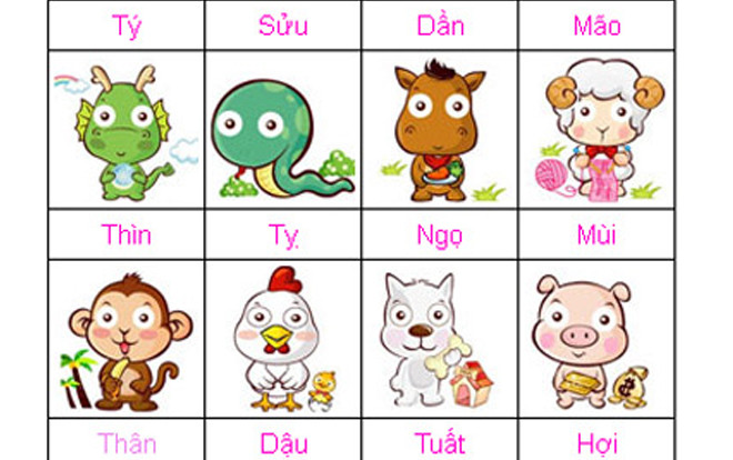 Tử vi tuần mới của 12 con giáp (26/8-1/9): Tuổi Tý đón niềm vui bất ngờ Ảnh 2