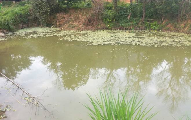 Trốn bố mẹ rủ nhau đi tắm ao, 3 đứa trẻ đuối nước tử vong thương tâm Ảnh 2