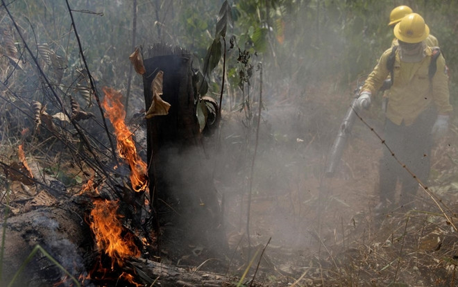 Brazil từ chối khoản hỗ trợ 20 triệu USD dập cháy rừng Amazon Ảnh 2