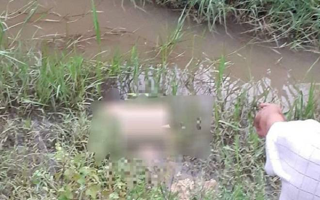 Tá hỏa phát hiện người đàn ông tử vong dưới ruộng lúa, trên người không mang quần áo Ảnh 2