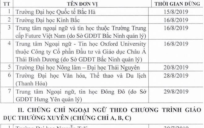 Hàng loạt đơn vị phải dừng tổ chức thi và cấp chứng chỉ ngoại ngữ, tin học Ảnh 2