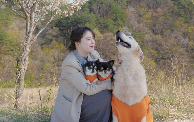 Ẩn ý giải nghệ sau vụ ly hôn Ahn Jae Hyun, Knet lo lắng Goo Hye Sun tự tử Ảnh 2