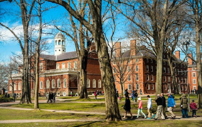 Mức lương trung bình của cựu sinh viên 8 trường Đại học thuộc khối Ivy League Ảnh 2