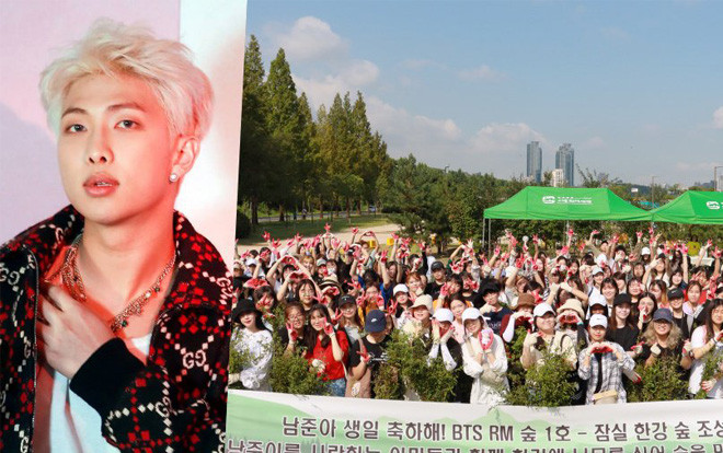 Không chạy quảng cáo rầm rộ, người hâm mộ trồng rừng dưới danh nghĩa thành viên RM (BTS) làm quà tặng sinh nhật anh chàng Ảnh 2