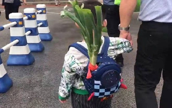 Ông nội bỏ cây hành to vào balo cháu trong ngày đầu tiên đến trường, cộng đồng mạng ‘tâm phục khẩu phục’ khi biết ý nghĩa Ảnh 2