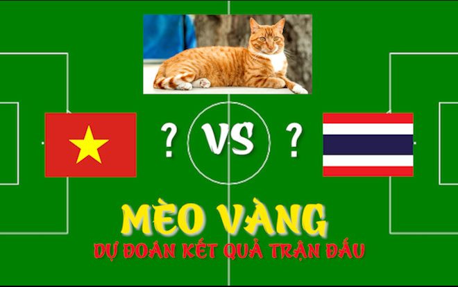 Mèo vàng Đường Sách dự đoán kết quả trận đấu Việt Nam -  Thái Lan Ảnh 2