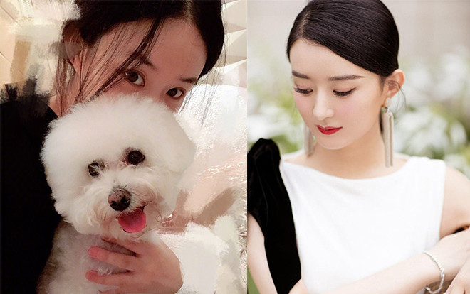 Sau 9 tháng sinh con và ở cữ, lần đầu tiên Triệu Lệ Dĩnh đăng hình selfie ôm lấy thú cưng che mặt Ảnh 2