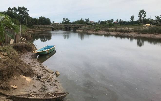 Người dân hoảng hồn vì cá sấu bất ngờ xuất hiện dưới sông ở Hà Tĩnh Ảnh 2