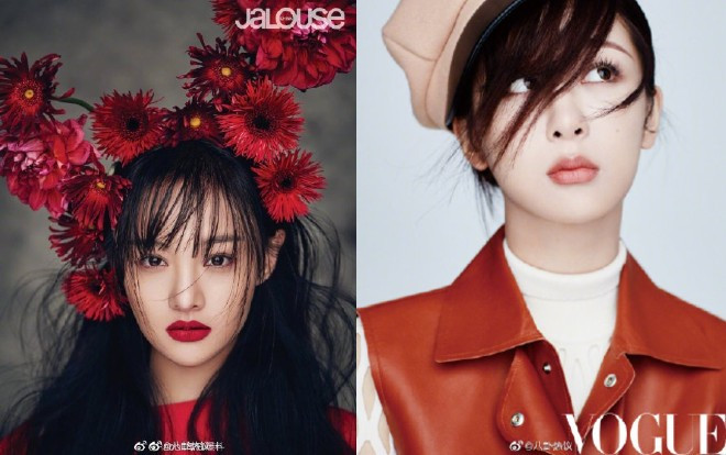 Fan nhà Dương Tử và Trịnh Sảng khẩu chiến vì bộ phim 'Trâm trung lục’ Ảnh 2