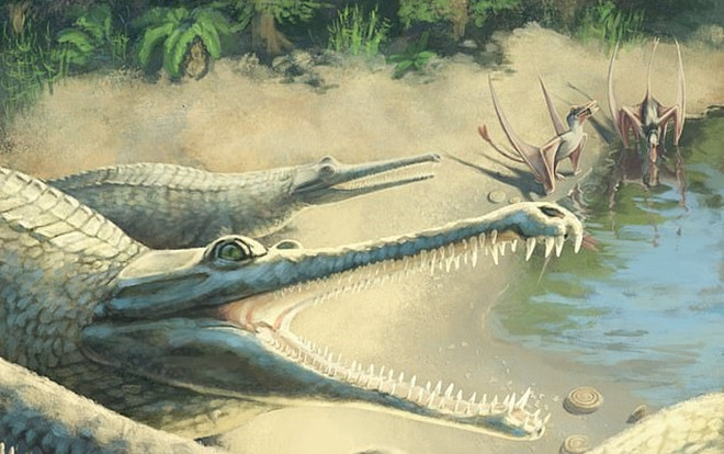 Sự thật bất ngờ đằng sau hóa thạch cá sấu kỷ Jura dài gần 4,5 mét Ảnh 2