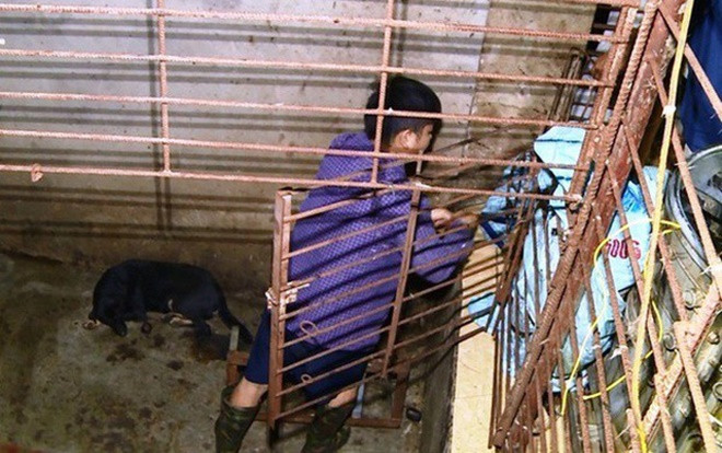 Công an Thanh Hóa phát hiện chiếc hầm 'bí mật' trong đường dây trộm chó tinh vi, đã bắt hơn 100 tấn chó Ảnh 2