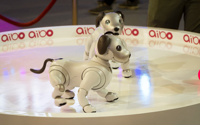Chó robot Aibo về Việt Nam: Siêu cấp đáng yêu, biết sủa và thích được mọi người vuốt ve! Ảnh 2