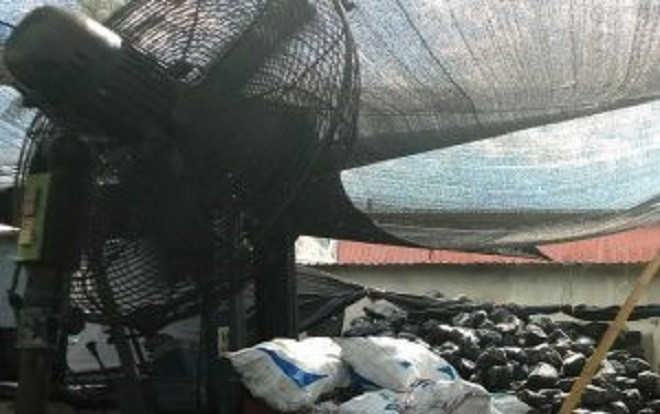 Nam phạm nhân tử vong tại xưởng đá do bị cánh quạt tự chế 'chém' nhiều nhát vào người Ảnh 2