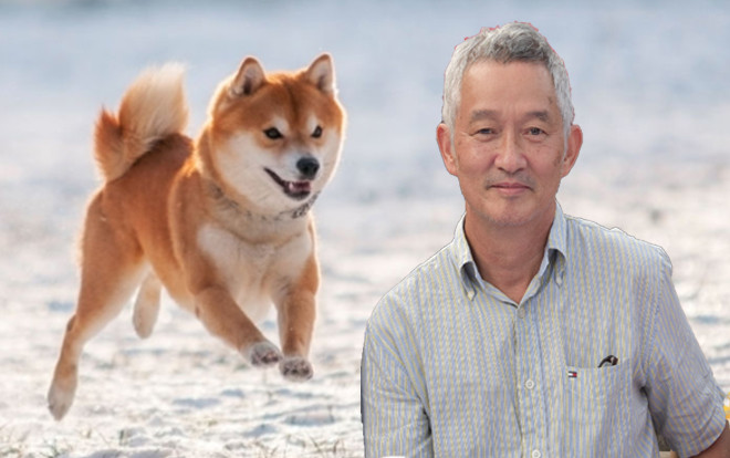 Đạo diễn hình ảnh nói gì về tiêu chí chọn lựa và chế độ chăm sóc cho nhân vật Cậu Vàng? Ảnh 2