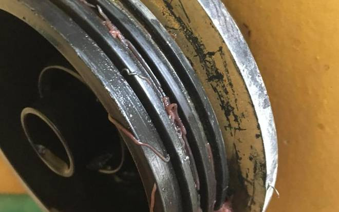 'Nổi da gà' cảnh tượng giun sán bò loe ngoe quanh lõi lọc nước tại KTX Đại học Kinh tế Quốc dân Ảnh 2