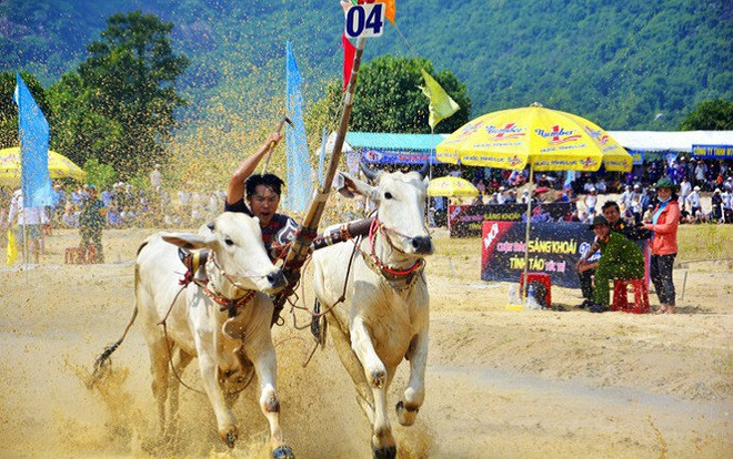 Có gì bên trong Hội đua bò Bảy Núi khiến 2 vạn người đội nắng đến xem? Ảnh 2
