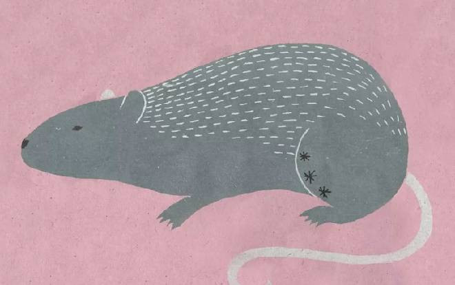 3 con giáp phát tài phát lộc, tình duyên phơi phới trong tháng 10 tới đây Ảnh 2