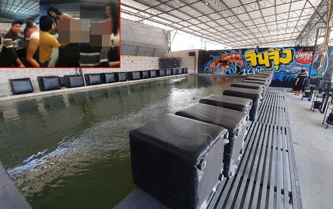 Xôn xao video các cô gái ăn mặc 'mát mẻ' nhảy múa ở trại nuôi tôm và lý do phía sau khiến nhiều người ngao ngán Ảnh 2