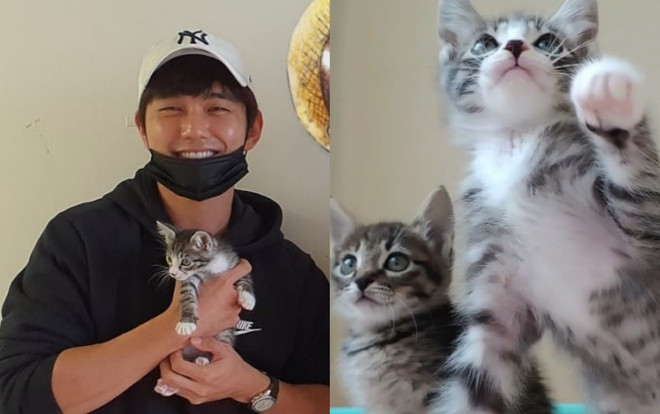 YouTuber kể chuyện Yoo Seung Ho đích thân liên hệ nhận nuôi 2 chú mèo bị bỏ rơi Ảnh 2