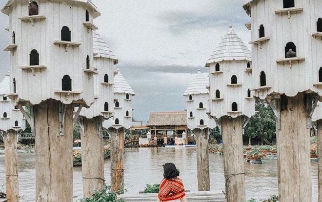 Tiết lộ góc check-in 'thần thánh' mới toanh của rừng tràm Trà Sư, An Giang khiến giới trẻ mê mẩn Ảnh 2