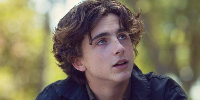 Timothée Chalamet muốn hóa thân vào nhân vật Robin trong Batman - Saostar.vn