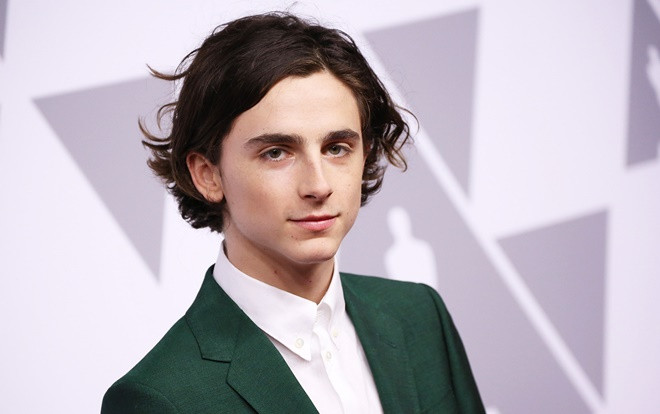 Timothée Chalamet muốn hóa thân vào nhân vật Robin trong The Batman? Ảnh 2