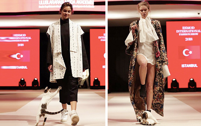 Cười té ghế với những ngài Boss hiên ngang chiếm trọn spotlight trên sàn diễn, quấy phá dàn mẫu xịn Ảnh 2