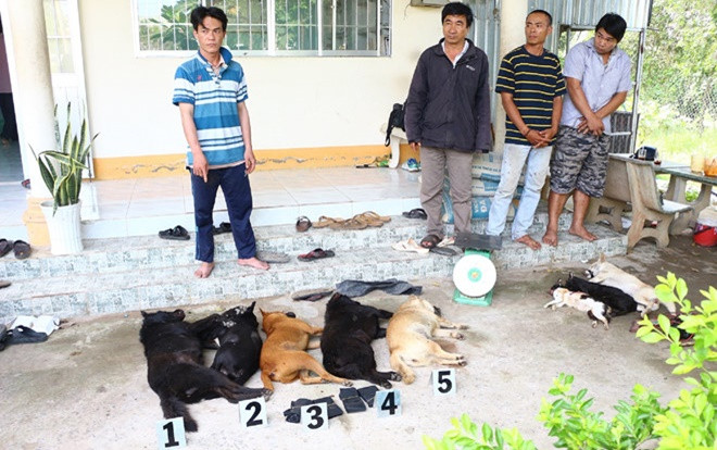 Bắt 3 đối tượng có tiền án chuyên trộm chó mèo bằng súng điện ở Vĩnh Long Ảnh 2