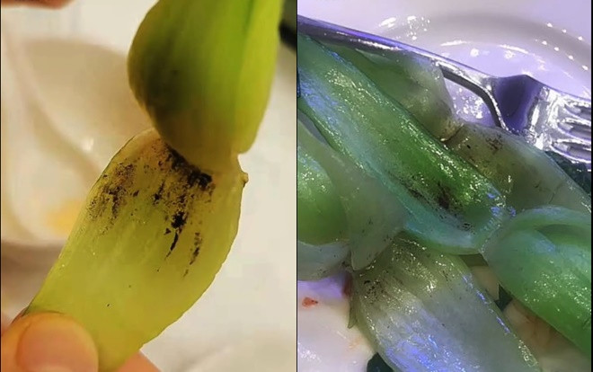 Nhà hàng 5 sao không rửa sạch rau bị mẹ bỉm sữa phát hiện tố cáo Ảnh 2