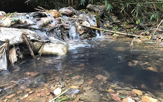 Bắt khẩn cấp 2 đối tượng đổ trộm dầu thải gây ô nhiễm nguồn nước nhà máy sông Đà Ảnh 2