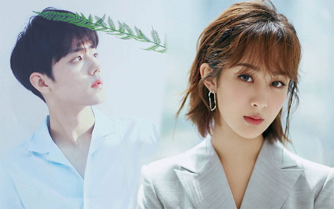 Dương Tử - Tiêu Chiến dẫn đầu bình chọn 'Diễn viên truyền hình tài năng Trung Quốc' Ảnh 2