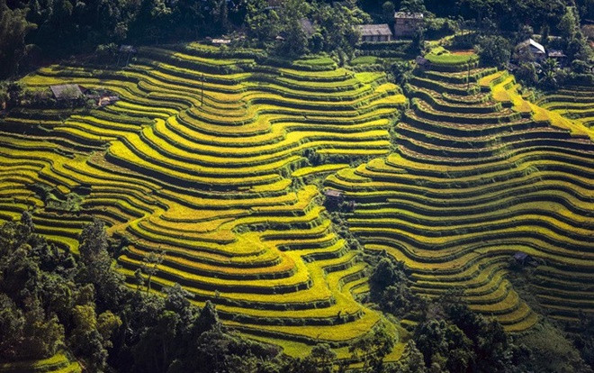 Những 'nấc thang lên trời' ở Hoàng Su Phì Ảnh 2