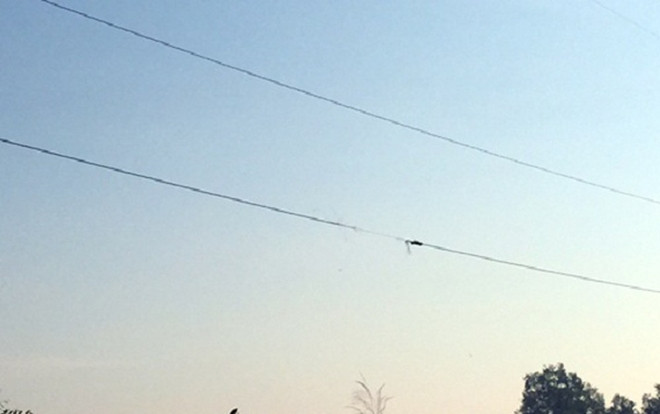 Chơi đùa cùng bạn trong giờ ra chơi, bé trai 7 tuổi bị điện giật tử vong Ảnh 2