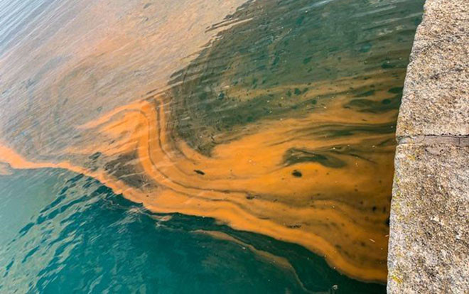 Bí ẩn nước biển chuyển màu cam kỳ lạ khiến du khách phát ban khắp người Ảnh 2