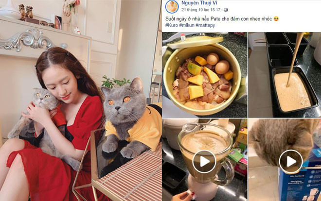 Thúy Vi đáp trả 'cực gắt' khi bị cư dân mạng 'trù ẻo' vì cho mèo ăn quá sang Ảnh 2