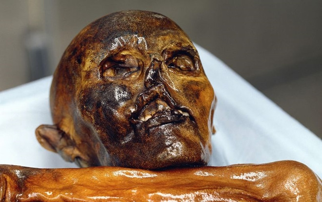 Nhờ rong rêu, các nhà khoa học tìm ra hành trình cuối cùng của người tiền sử niên đại 5.300 năm tuổi Ảnh 2