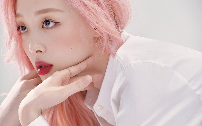 ‘Đạo luật Sulli’ gây sốt tại Hàn Quốc khi bắt người dùng Internet phải công khai danh tính thật Ảnh 2