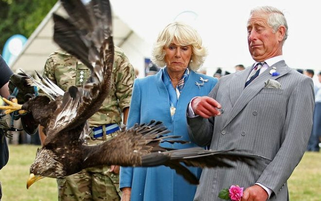24 bức ảnh cho thấy cuộc sống thực sự của hoàng gia Anh Ảnh 2