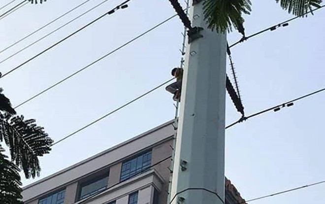 Cảnh sát căng đệm hơi giải cứu nam thanh niên nghi ngáo đá ngồi vắt vẻo trên cột điện cao thế Ảnh 2
