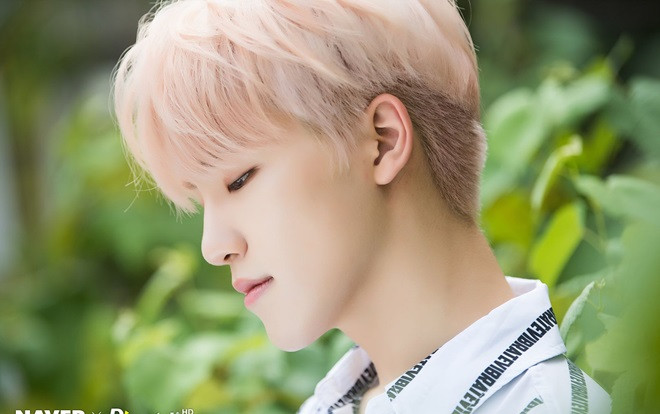 Dino (SEVENTEEN) mắc bệnh liên quan đường ruột, không thể tham gia World Tour tại Nhật Bản Ảnh 2