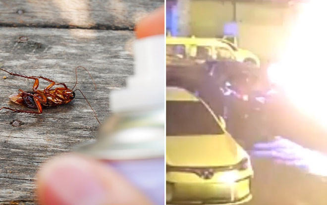 Mải mê diệt gián, cụ ông đốt trụi căn bếp và 3 chiếc ô tô Ảnh 2