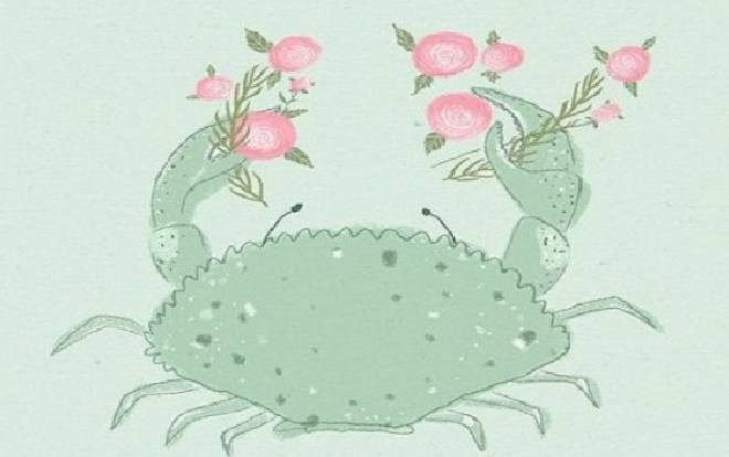 Tử vi hàng ngày 12 cung hoàng đạo thứ 4 ngày 13/11/2019: Cự Giải gặp thách thức trong công việc, Sư Tử tràn đầy may mắn Ảnh 2