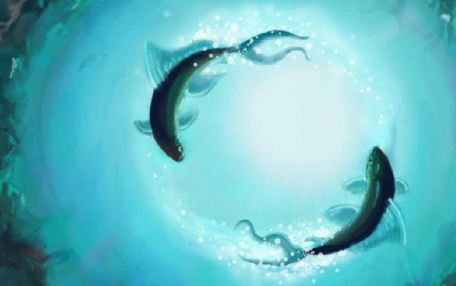 Tử vi hàng ngày 12 cung hoàng đạo thứ 5 ngày 14/11/2019: Song Ngư có cơ hội để làm giàu, Ma Kết không nên tự trách bản thân Ảnh 2