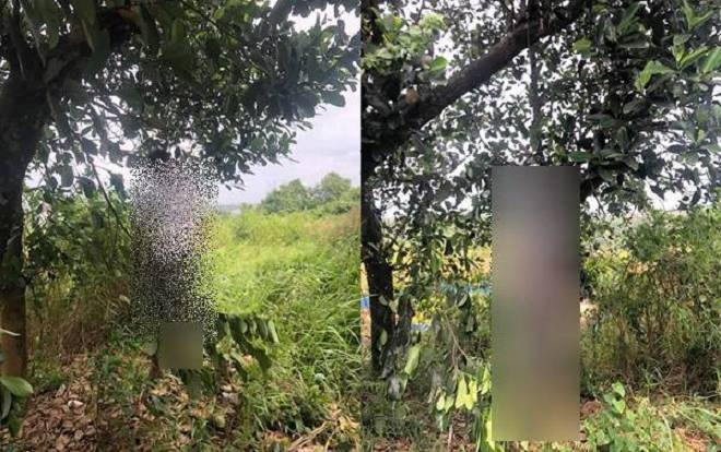 Người đàn ông nghi ném 2 con xuống biển Vũng Tàu có thể đã treo cổ tự tử ở Đắk Nông Ảnh 2